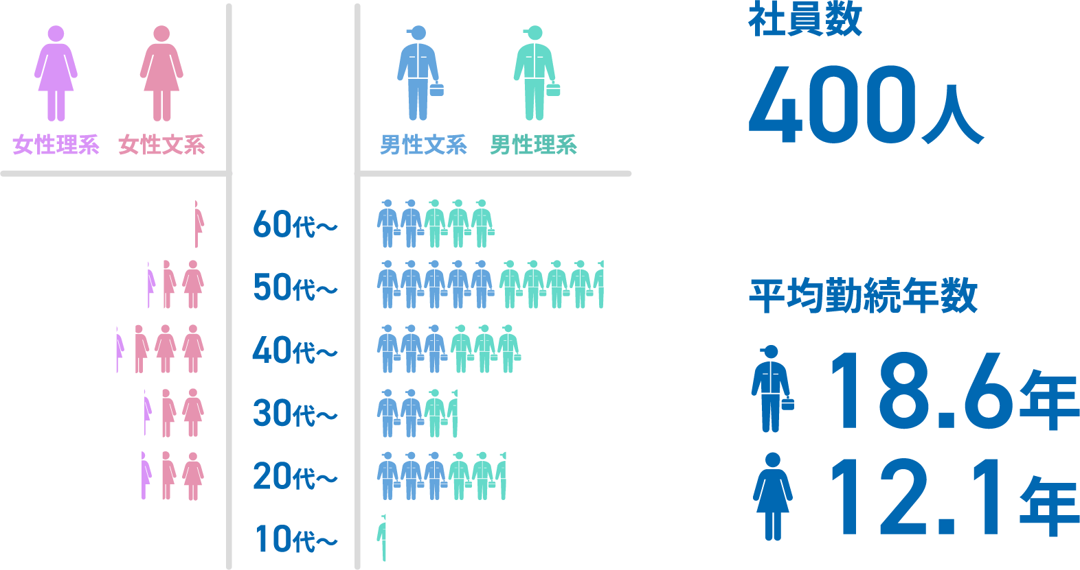 女性理系 女性文系 男性文系 男性理系 60代〜 50代〜 40代〜 30代〜 20代〜 10代〜 社員数 400人 平均勤続年数 18.6年 12.1年